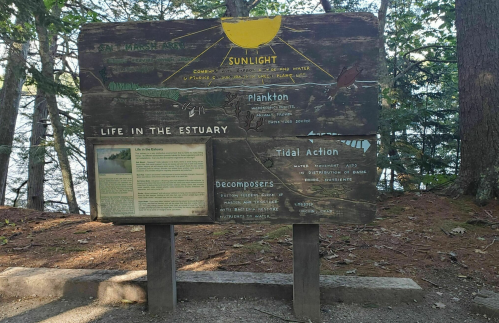 Wooden sign detailing the estuary ecosystem, featuring sections on sunlight, plankton, tidal action, and decomposers.