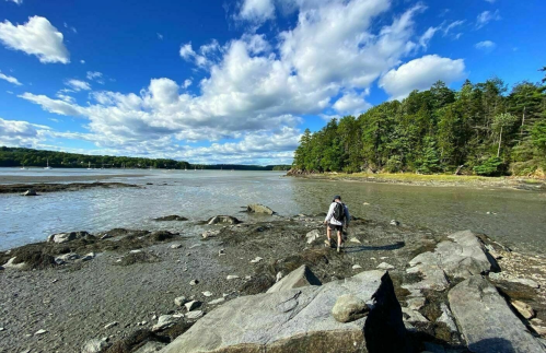 A person walks along a rocky shore with trees and a blue sky in the background, reflecting a serene coastal scene.