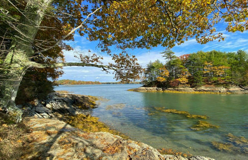 A serene river scene with autumn foliage, rocky shores, and calm waters under a blue sky.
