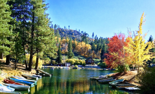 A serene lake surrounded by colorful autumn trees and boats, with a cabin nestled among the pines in the background.