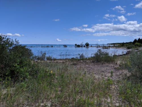 A serene lakeside view with lush greenery, sandy shore, and a clear blue sky dotted with clouds.