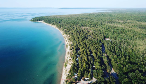 Aerial view of a serene beach lined with trees, meeting a calm blue lake under a clear sky.