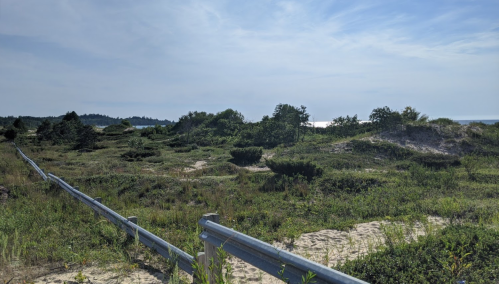 A sandy path leads through lush greenery and dunes towards a calm ocean under a clear blue sky.