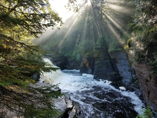 Sunlight streams through trees over a rushing river, creating a serene, misty atmosphere in a forested landscape.