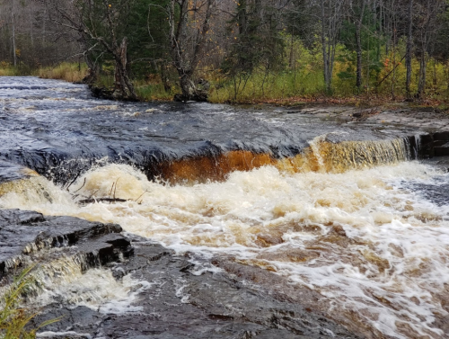 A rushing river cascades over rocky terrain, surrounded by trees and autumn foliage.