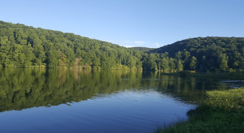 A serene lake surrounded by lush green hills under a clear blue sky, reflecting the landscape in the water.