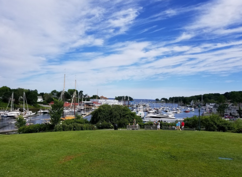 A scenic view of a marina with sailboats and yachts, surrounded by green grass and a blue sky with clouds.