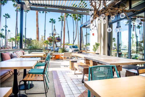 Bright outdoor dining area with wooden tables, green chairs, and palm trees in the background. Sunlight streaming in.