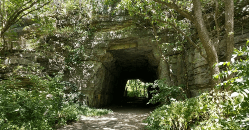 A natural stone tunnel surrounded by lush greenery and trees, leading into a shaded pathway.