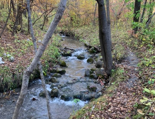 A serene stream flows through a wooded area with autumn foliage and a winding path beside it.