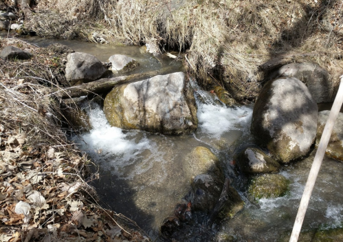 A small stream flows over rocks, surrounded by dry grass and leaves in a natural setting.