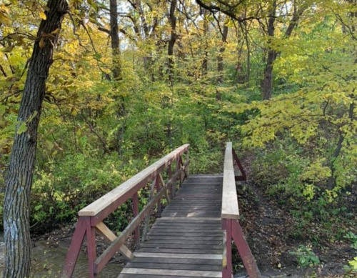 A wooden bridge crosses a small stream, surrounded by vibrant autumn foliage in a lush forest.
