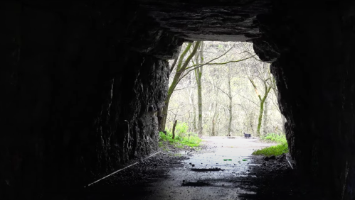 A dark tunnel opening reveals a bright, tree-lined path outside, with greenery visible in the background.