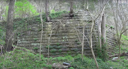 Overgrown stone wall partially hidden by trees and greenery in a forested area.