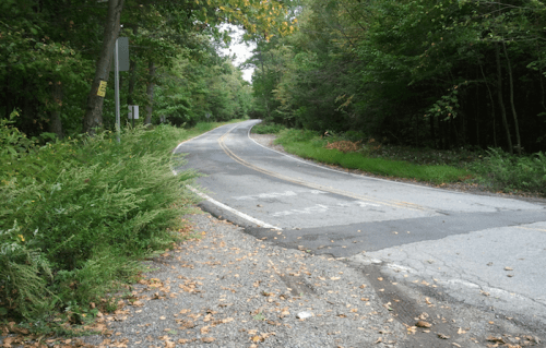 A winding road surrounded by trees and greenery, with fallen leaves scattered along the pavement.