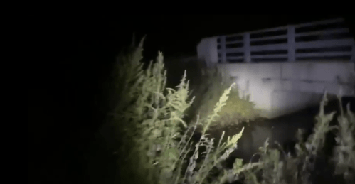 A dimly lit scene at night featuring tall grass and a concrete structure in the background.