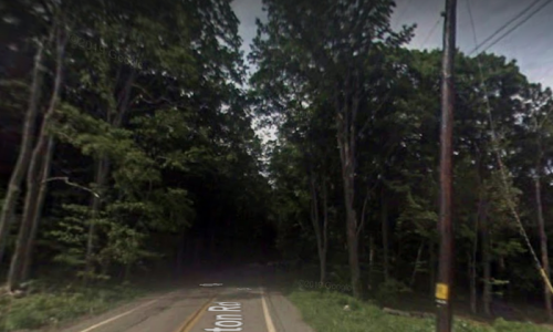 A narrow road surrounded by dense trees, creating a secluded, natural setting.