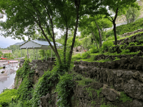 A lush, green hillside with stone steps leading to a gazebo surrounded by trees and vegetation.
