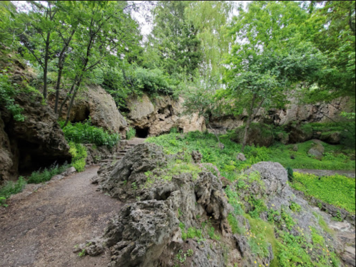 A rocky path leads through a lush, green forest with caves and boulders in a serene natural setting.