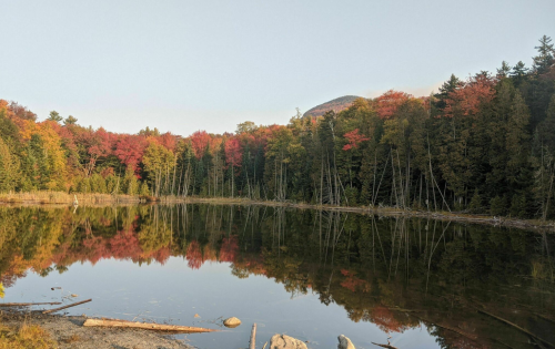 A serene lake surrounded by trees with vibrant autumn foliage reflecting on the water's surface.
