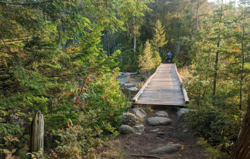 A wooden bridge crosses a rocky path in a lush forest, with a person walking in the distance.