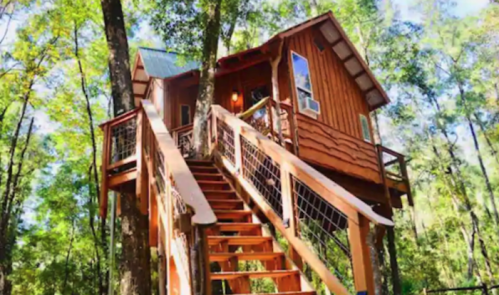 A wooden treehouse with stairs, nestled among tall trees in a lush forest setting.