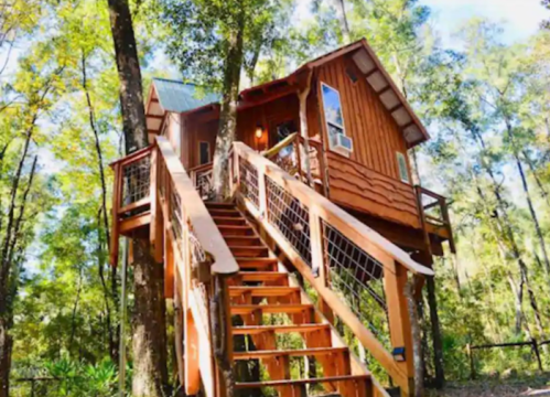 A charming treehouse nestled among trees, featuring wooden stairs and a cozy design.