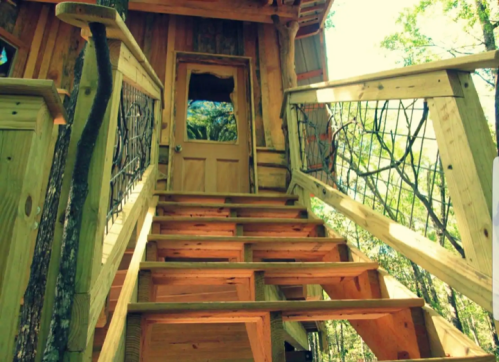 A wooden staircase leading up to a treehouse with a door, surrounded by trees and natural light.