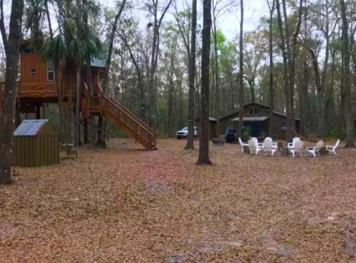 A treehouse and cabin surrounded by trees, with a yard covered in fallen leaves and white chairs arranged nearby.