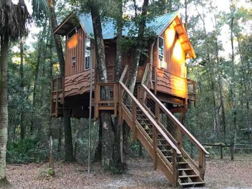 A wooden treehouse with two sections, elevated among trees, featuring a staircase and warm sunlight illuminating one side.