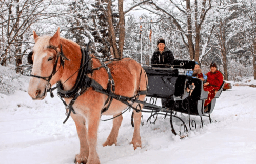A horse-drawn sleigh in the snow with a driver and two passengers, surrounded by trees and a winter landscape.