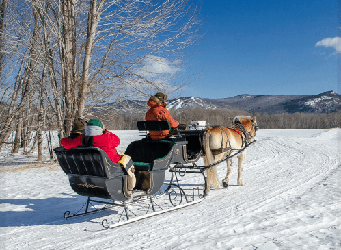 A horse-drawn sleigh carries two passengers through a snowy landscape with mountains in the background.