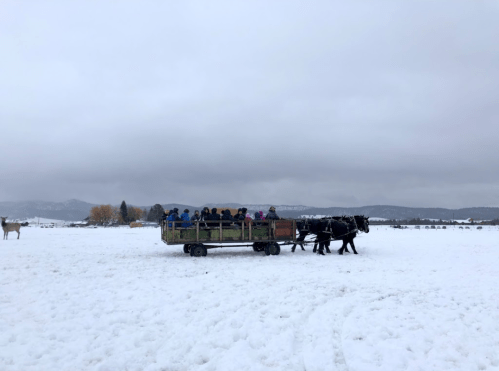 A horse-drawn wagon filled with people travels through a snowy landscape under a cloudy sky.