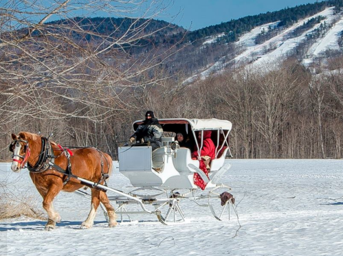 A horse-drawn sleigh travels through a snowy landscape with mountains in the background and two passengers inside.