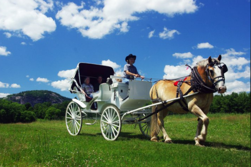 A horse-drawn carriage with passengers rides through a green field under a blue sky with fluffy clouds.