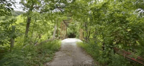 A weathered bridge surrounded by lush greenery and overgrown vegetation, leading into a dense forest.