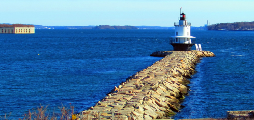 A lighthouse stands at the end of a rocky jetty, surrounded by calm blue waters and distant land.
