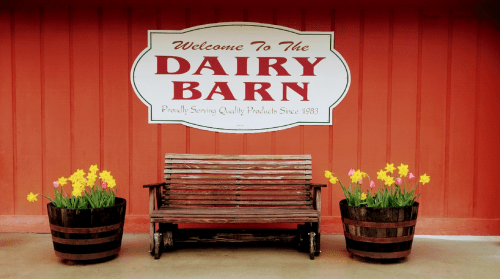 A wooden bench in front of a red wall with a sign reading "Welcome To The Dairy Barn" and colorful flowers in barrels.