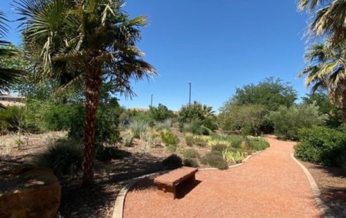 A winding path through a lush garden with palm trees and various plants under a clear blue sky.