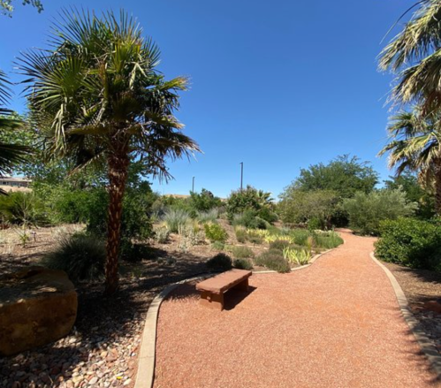 A winding path through a lush garden with palm trees and shrubs under a clear blue sky.