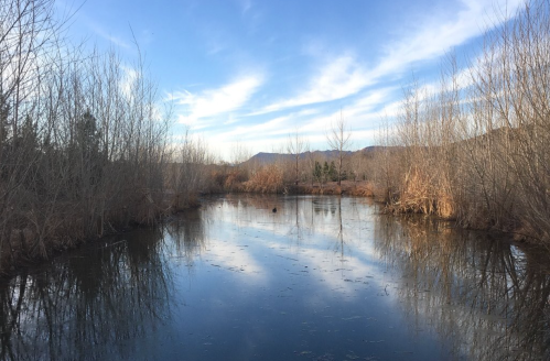 A serene pond surrounded by bare trees and mountains under a blue sky with wispy clouds.
