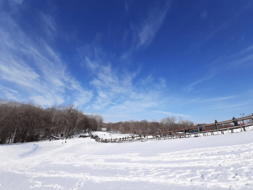A snowy landscape with a clear blue sky, trees in the background, and a winding path leading to a hill.