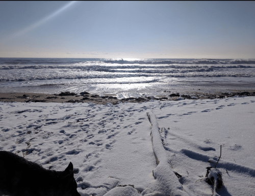 A snowy beach scene with waves crashing in the background and footprints in the snow, under a bright sun.
