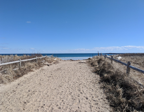 A sandy path leads to a calm ocean under a clear blue sky, framed by grass and wooden fences.