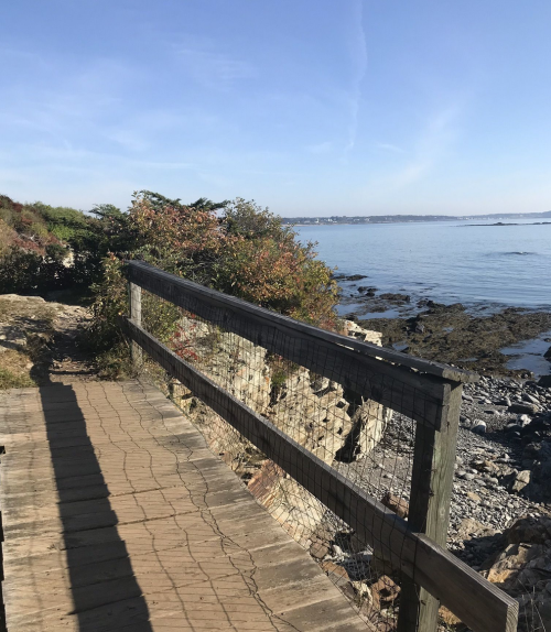 A wooden walkway along the coast, with rocky shores and calm water under a clear blue sky.