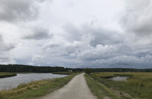 A gravel path winds through a marshy landscape under a cloudy sky, with water on either side and trees in the distance.