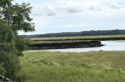 A serene landscape featuring a river bordered by lush green grass and trees under a cloudy sky.
