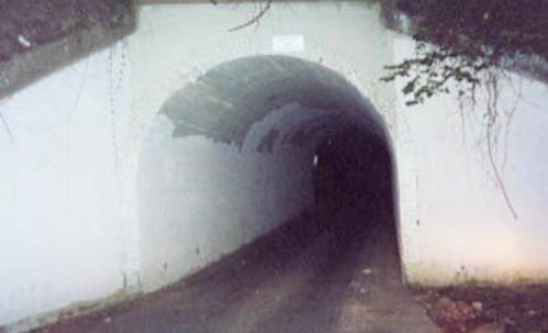 A dark tunnel entrance with a curved archway, surrounded by a white wall and overgrown vegetation.