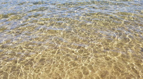Clear water with gentle ripples, revealing sandy bottom and sunlight reflections.
