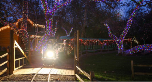 A brightly lit train with festive lights at night, surrounded by decorated trees and buildings.